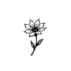 Elegant flower illustration with delicate petals in a minimalist composition