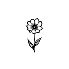 Monochrome floral illustration: A stylized daisy sketch on a white backdrop