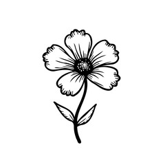 Elegant floral outline design, perfect for minimalistic illustrations and tattoos