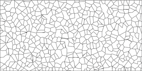Abstract cellular pattern graphic illustration with polygonal shapes in black and white ideal for backgrounds and textures