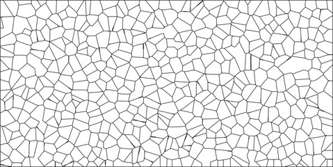 Abstract cellular pattern vector illustration in black lines on white background for design and textures