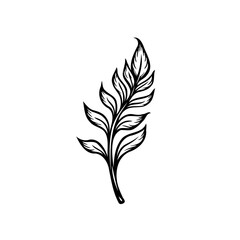 Elegant botanical illustration featuring detailed foliage in monochrome style