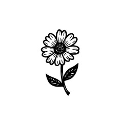 Delicate flower illustration in black and white, botanical art design concept