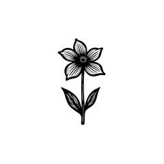 Detailed botanical sketch of a stylized flower blossom on a neutral backdrop
