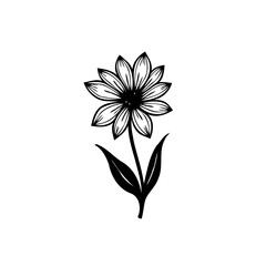Delicate botanical illustration featuring a single daisy in black and white