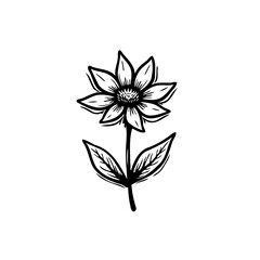 Elegant monochrome botanical illustration of a stylized single flower