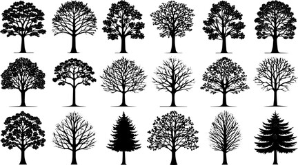 Obraz premium Deciduous Tree Silhouettes Vector Set, Leafy and Bare Tree Icons for Nature and Seasonal Design Projects