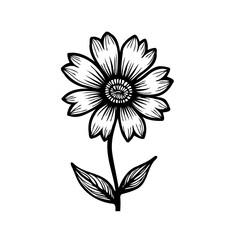 Elegant Floral Outline: A Delicate Hand-Drawn Daisy Illustration in Black and White