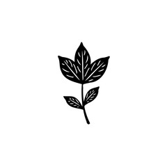 Minimalist botanical illustration showcasing a stylized leaf with delicate veining