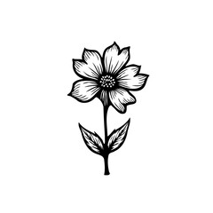 Minimalistic floral illustration depicting a blooming flower with detailed linework