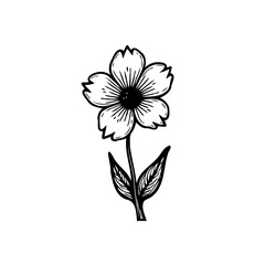 Elegant hand-drawn flower illustration showcases artistic simplicity and charm
