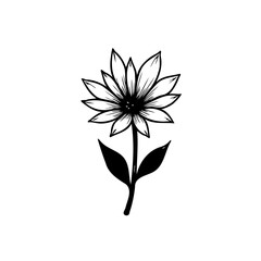 Elegant floral illustration with delicate petals and minimalistic botanical detail