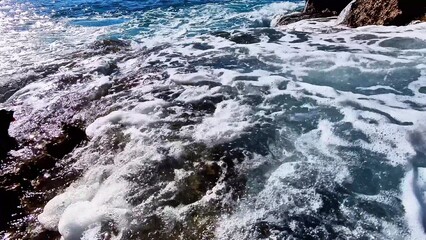 Experience the Serene Beauty of Ocean Waves and the Diverse Underwater Life They Support