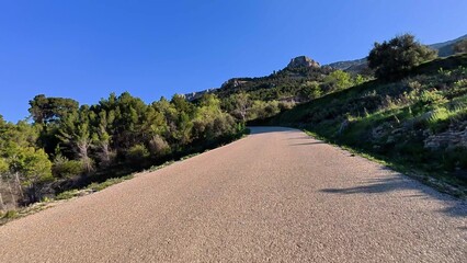A winding road gracefully meanders through vibrant lush greenery beneath a clear blue sky