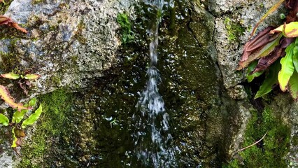 A beautiful, tranquil water stream gently flowing over rocks and vibrant green moss