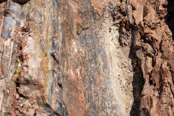 Petrified wood logs on desert ground in Petrified Forest National Park Arizona