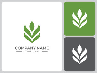 Obraz premium leaf logo vector