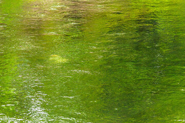 緑の木々を映す川の流れ21