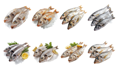 Fresh Seafood Display with Various Fish on Ice and Transparent Background