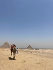 Pyramids of Giza 