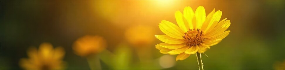 Golden hour sunlight streams through leaves onto a vibrant yellow flower, radiating joy and warmth Perfect for themes of optimism, well-being, and inner peace , peaceful, growth