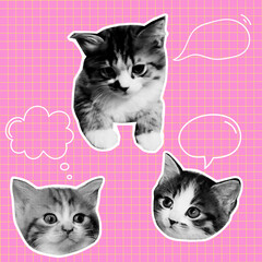 Funny minimalist collage of kitten conversation