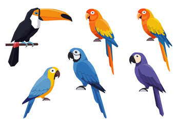 Vibrant Collection of Tropical Birds Toucan and Macaws