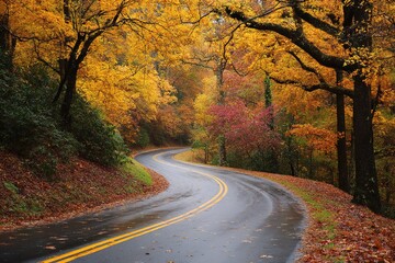 Autumn Road Through Colorful Forest