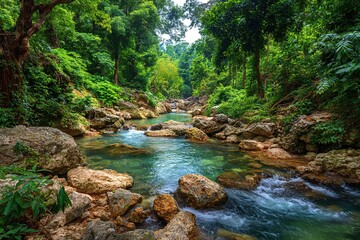 Tranquil Forest Stream With Rocks