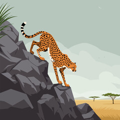Cheetah Descending Rocky Hillside in African Savanna Illustration