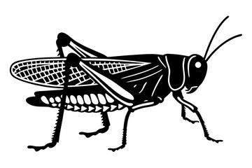 grasshopper  silhouette vector
