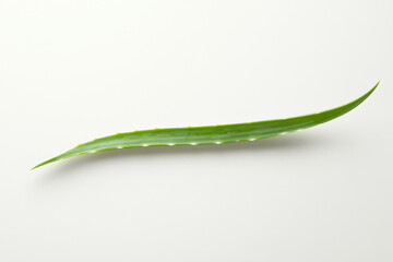 Fototapeta premium Fresh aloe vera leaf on white background for beauty and health