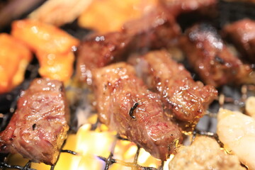 黒毛和牛焼肉（ハラミ）