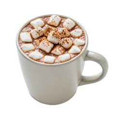 Hot Chocolate with Marshmallows in Ceramic Mug