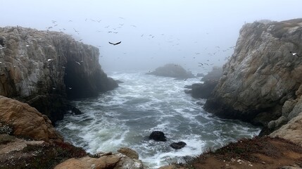 Obraz premium Misty rugged coastline with dramatic cliffs, powerful crashing waves and soaring seabirds under overcast sky, showcasing raw nature, seascape beauty and untamed wilderness