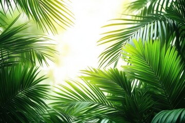 Close-up of lush green palm leaves with bright sunlight filtering through, creating a fresh and vibrant natural atmosphere