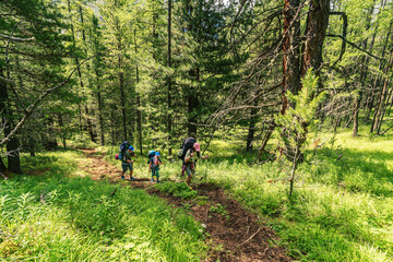 Trekking trip in the wild forest 