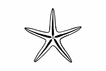 Fototapeta premium starfish silhouette vector
