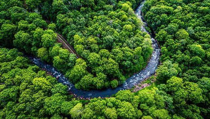 Aerial View Of Winding River Through Lush Green Forest