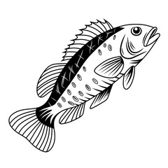 Line art climbing perch fish silhouette