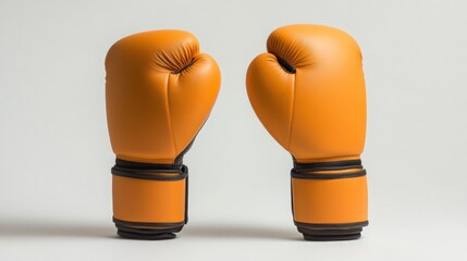 Boxing gloves ready for the ring