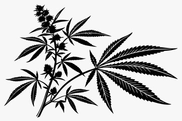 marijuana  silhouette vector