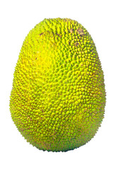 Discover the Health Benefits and Culinary Delights of Jackfruit - Your Ultimate Guide to this Tropical Superfood  transparent png