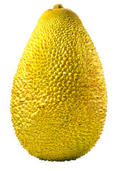 Discover the Health Benefits and Culinary Delights of Jackfruit - Your Ultimate Guide to this Tropical Superfood  transparent png