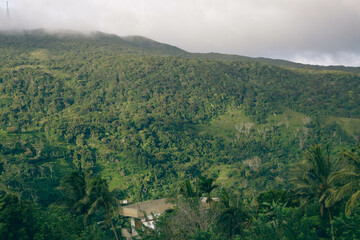 Fototapeta premium Lush Green Mountain Range Covered with Dense Forest Trees and Native Plants in Natural Landscape. Scenic View of Verdant Mountain Hills with Evergreen Trees and Nature-Loving Flora. Sinharaja Forest