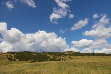 Custer State Park, South Dakota 
