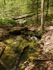 Waterfall in the forest 