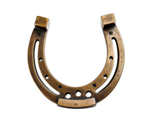 Brass Horseshoe Charm