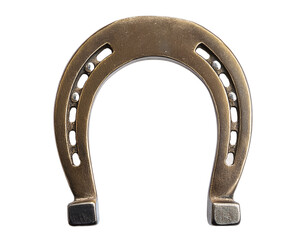 Lucky Horseshoe Charm