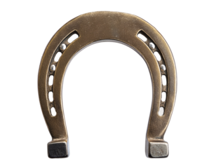 Lucky Horseshoe Charm